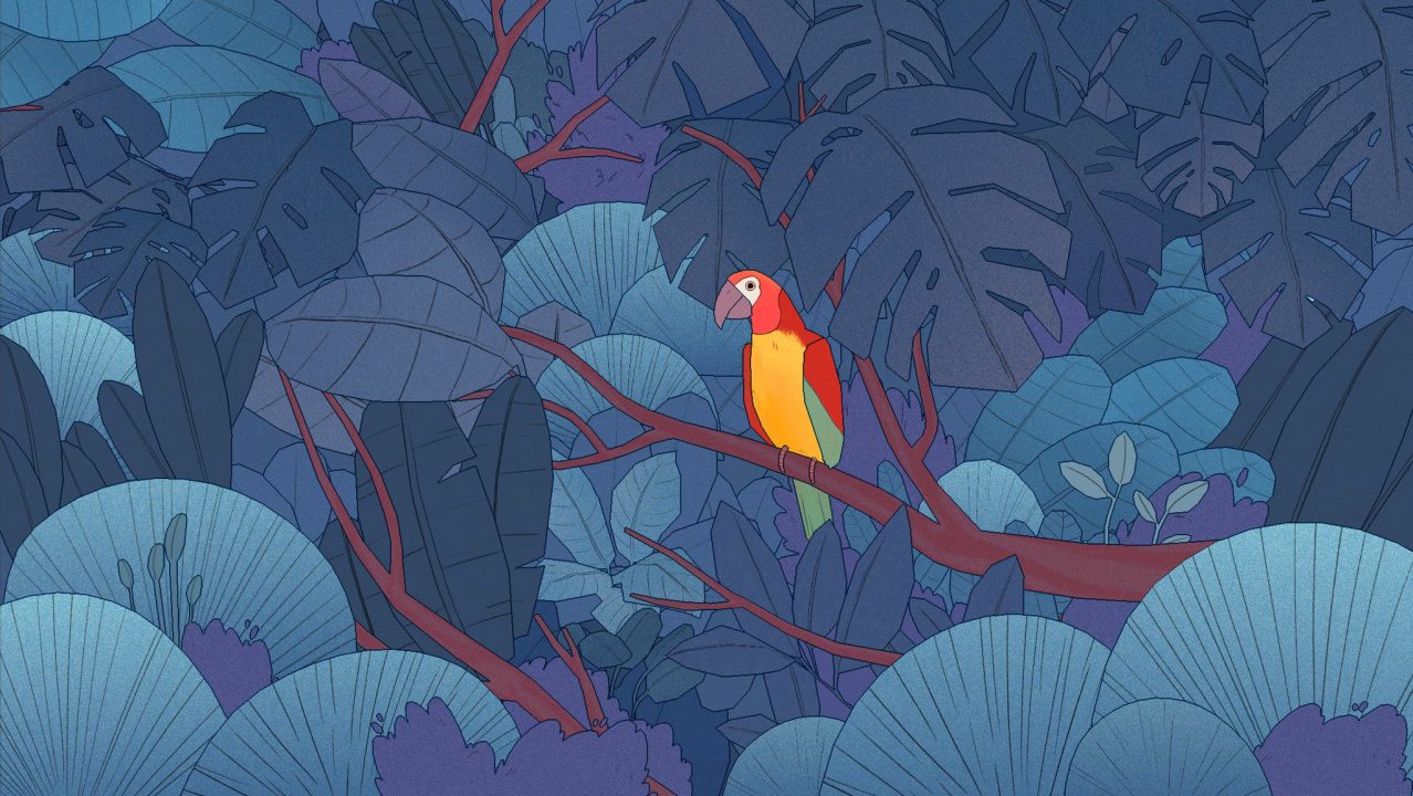 Game: Bird Alone Review