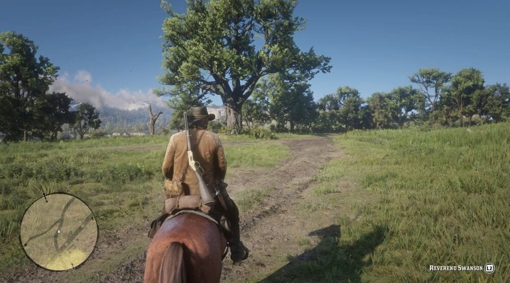 Accessibility: Red Dead Redemption 2