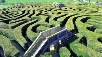 Pathwaystepactivity: Visit A Maze