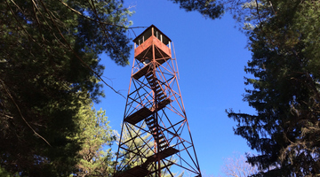 Pathwaystepactivity: Lookout Tower Visit